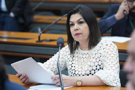 Tereza Cristina retoma mandato e Bia Cavassa deixa Câmara Federal - Diário  Corumbaense