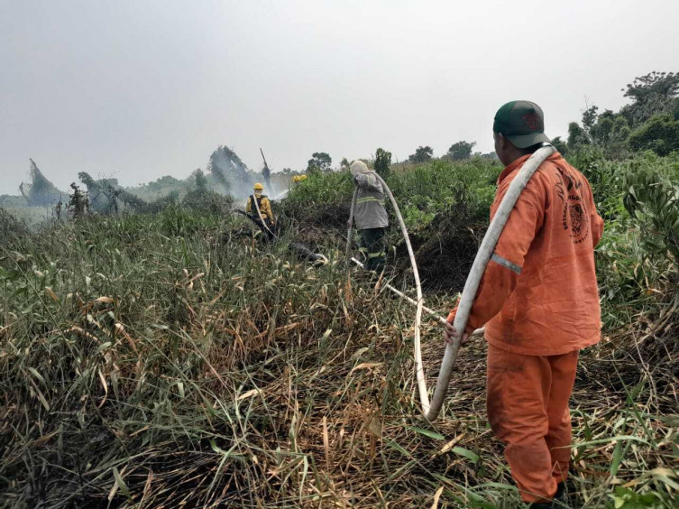 Atualização sobre o fogo no Pantanal – 23/11/2023 - IHP